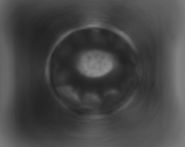 X0000100921423200807081141