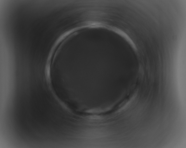 X0000100921424200807081141