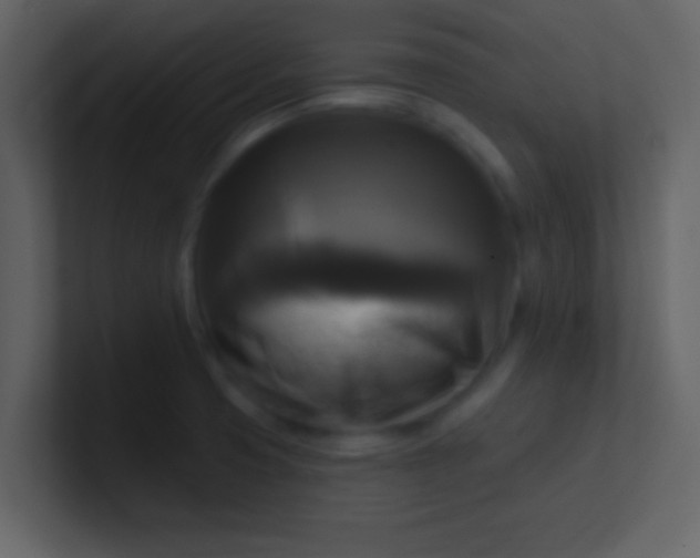 X0000100921425200807081141