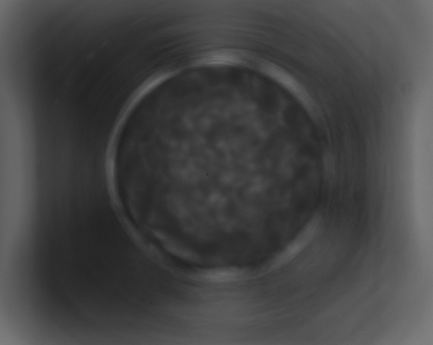 X0000100921426200807081141