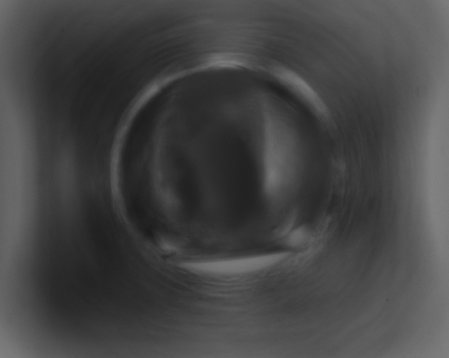 X0000100921427200807081141