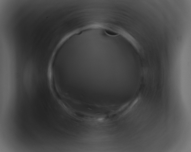 X0000100921428200807081141