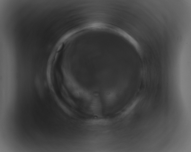 X0000100921429200807081141