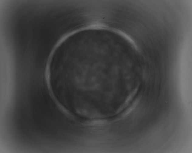 X0000100921430200807081141