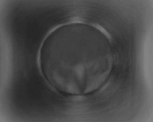 X0000100921431200807081141