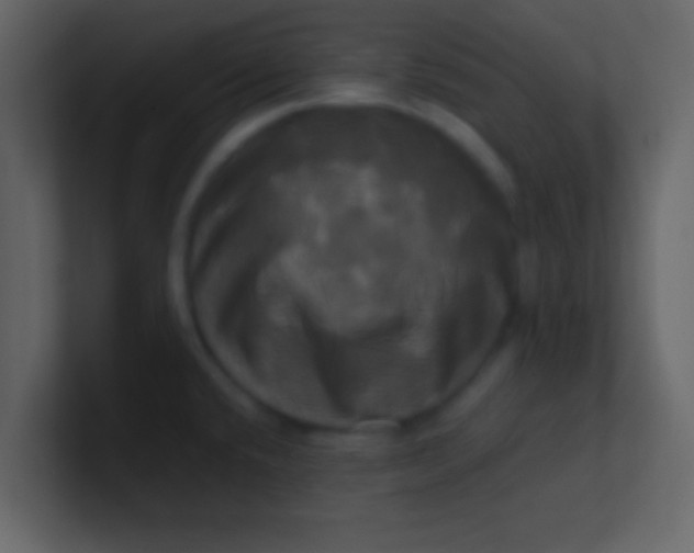 X0000100921432200807081141