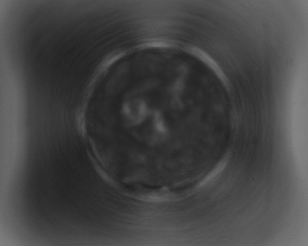 X0000100921433200807081141