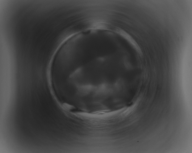 X0000100921434200807081141