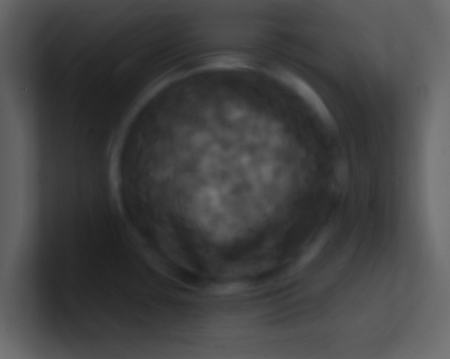 X0000100921435200807081141