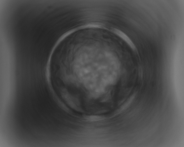 X0000100921436200807081141