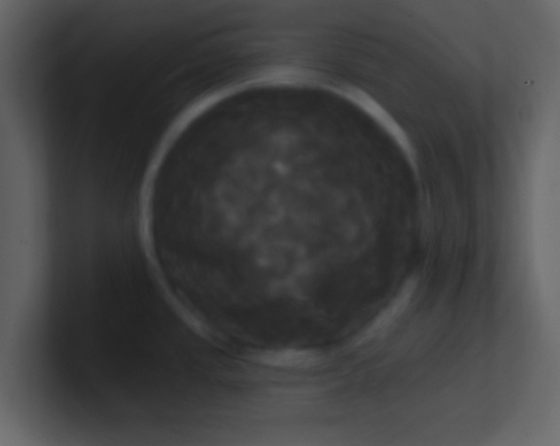 X0000100921437200807081141