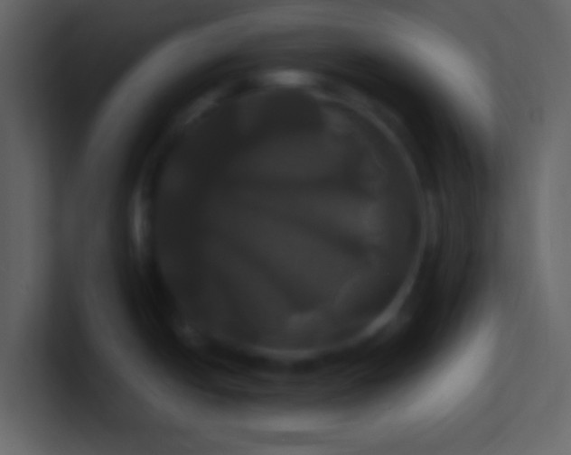 X0000100921438200807081141