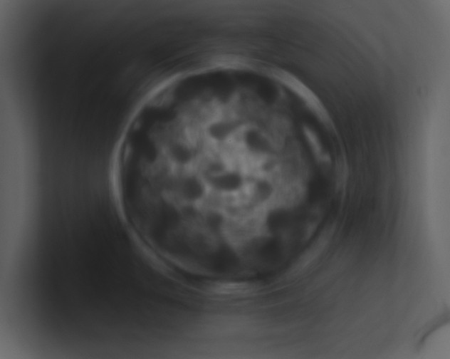 X0000100921439200807081141