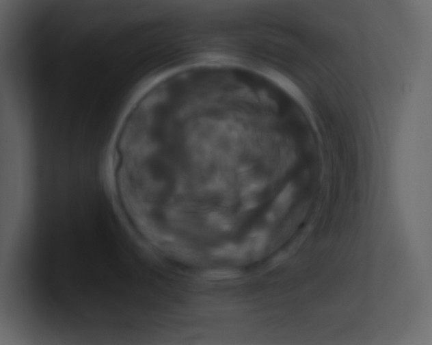 X0000100921440200807081141