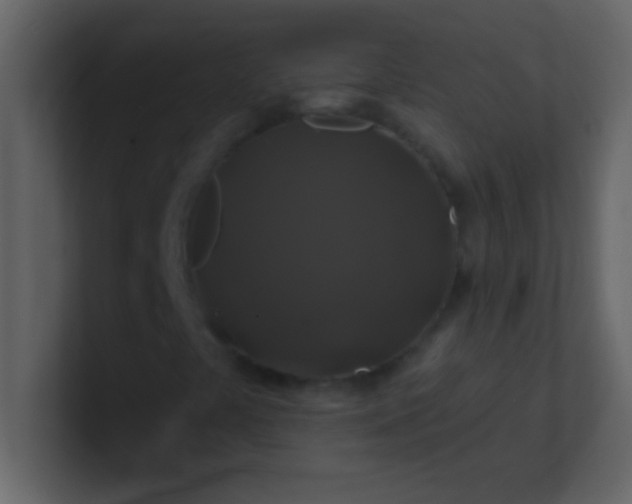 X0000100921441200807081140