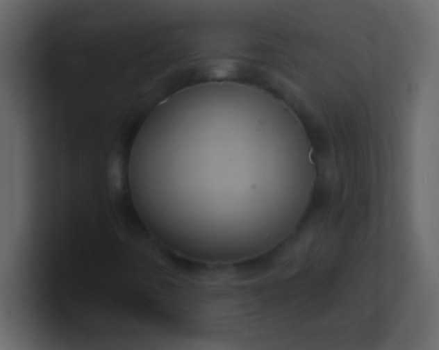 X0000100921442200807081140