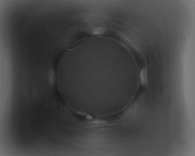 X0000100921443200807081140