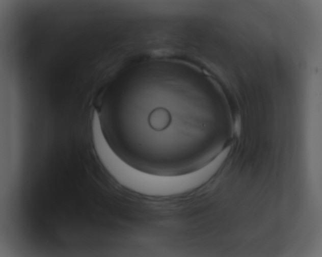 X0000100921444200807081140