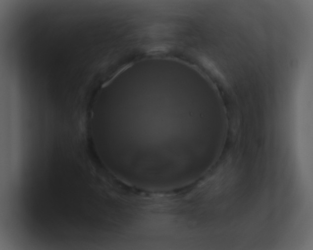 X0000100921445200807081140