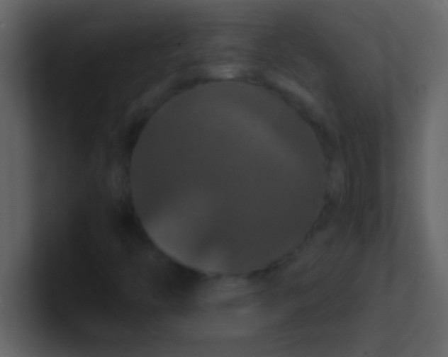 X0000100921446200807081140