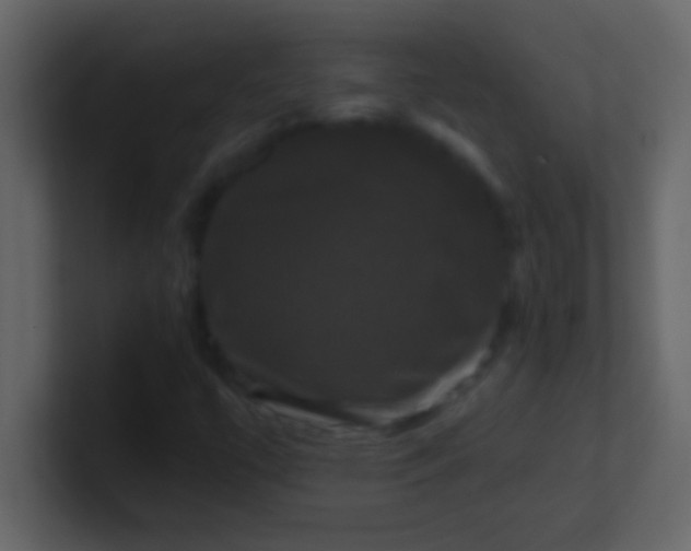 X0000100921447200807081140