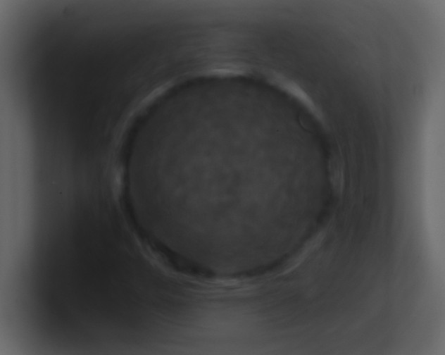 X0000100921448200807081140