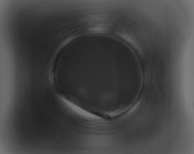 X0000100921450200807081140