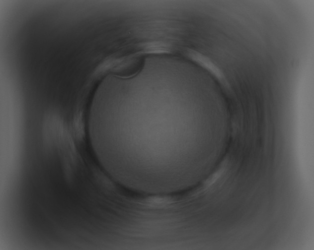 X0000100921451200807081140