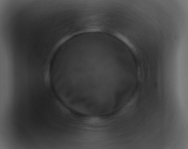 X0000100921452200807081140