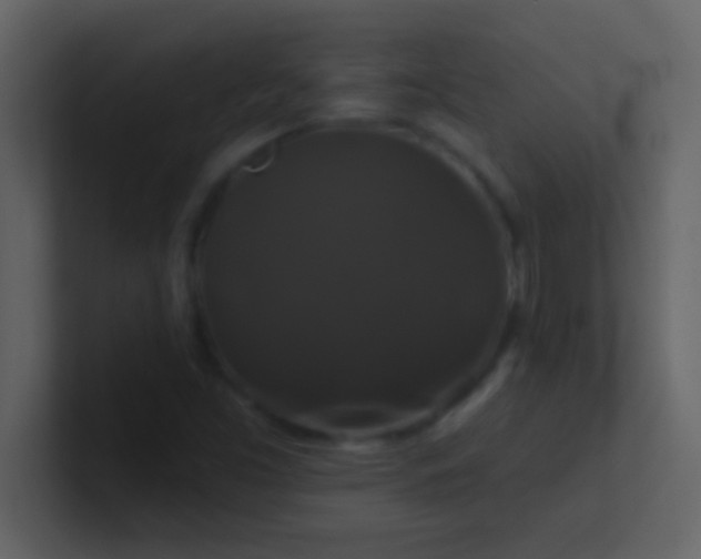 X0000100921453200807081140