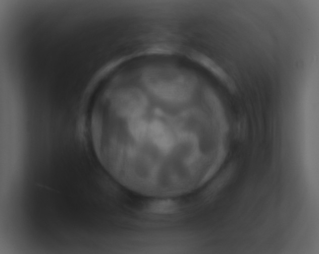 X0000100921454200807081140