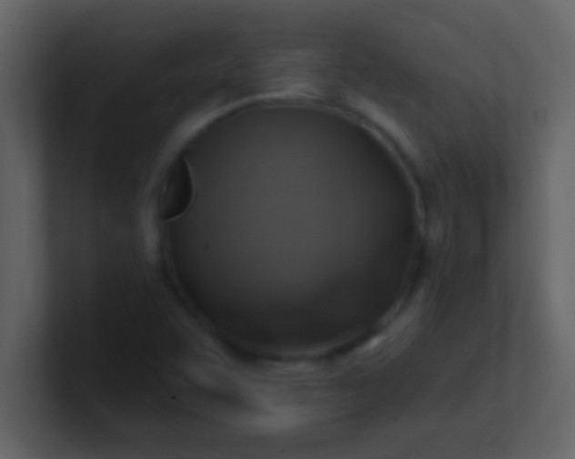 X0000100921455200807081140