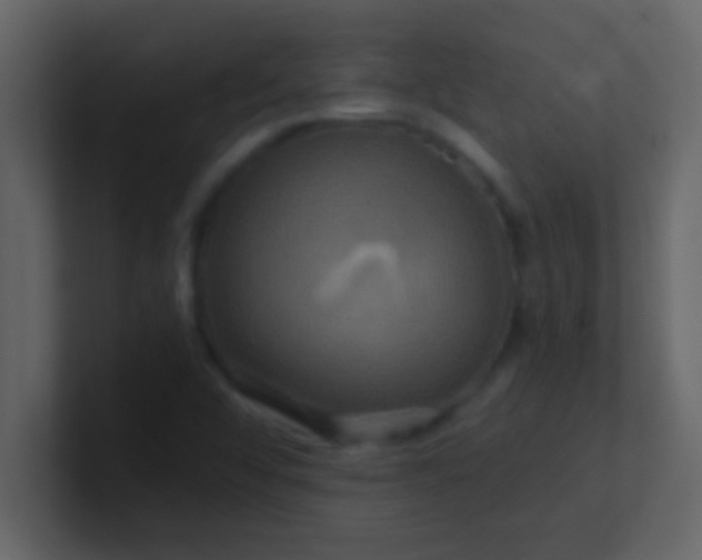 X0000100921456200807081140