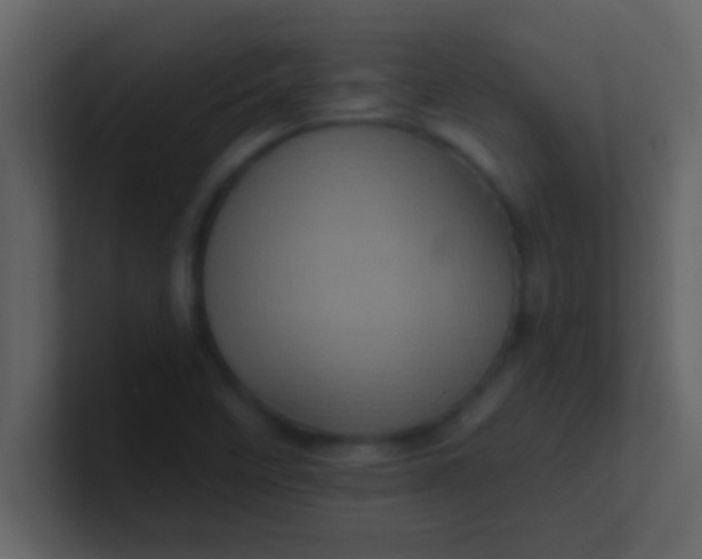 X0000100921458200807081140