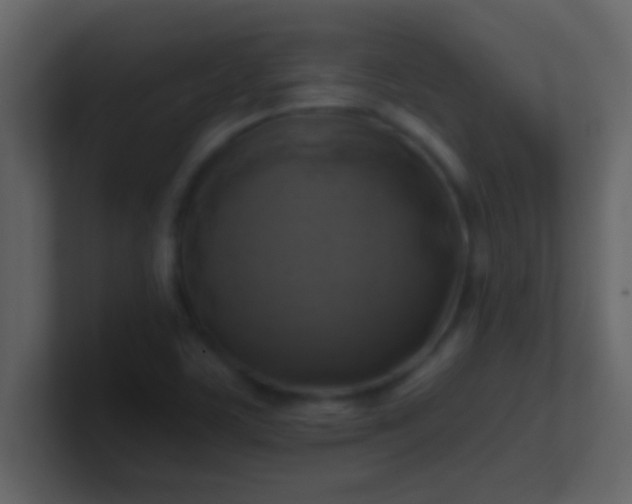 X0000100921459200807081140