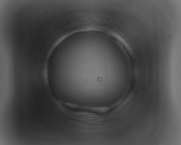 X0000100921460200807081140