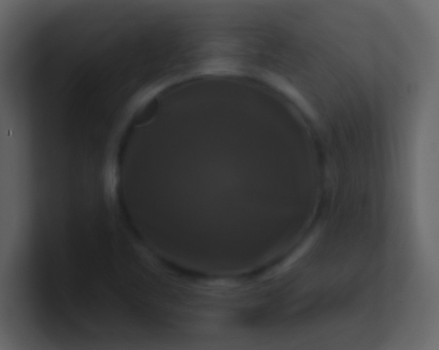 X0000100921461200807081140