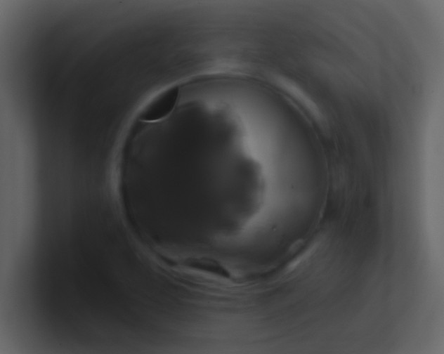 X0000100921463200807081140