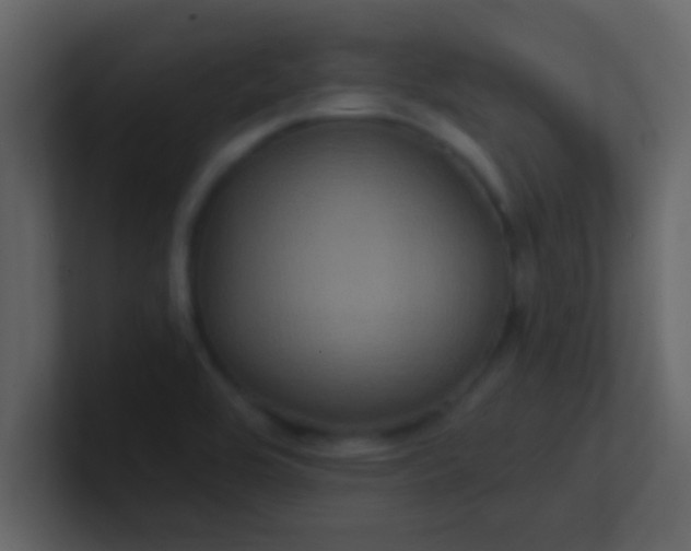 X0000100921464200807081140