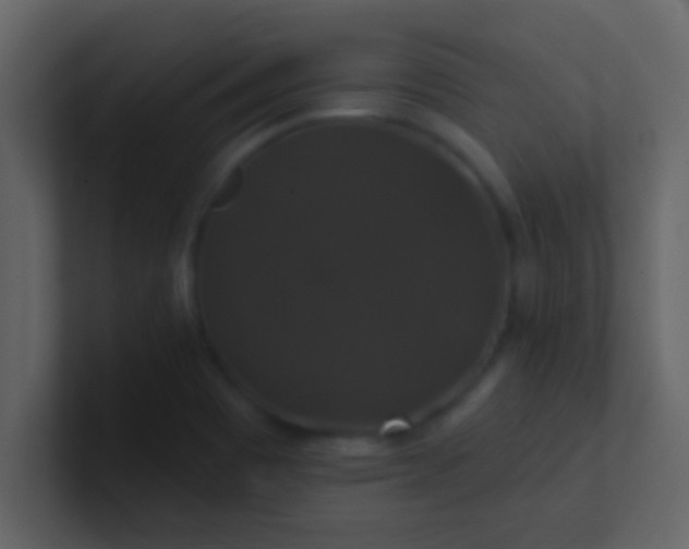 X0000100921465200807081140