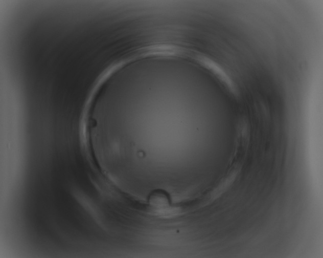 X0000100921466200807081140