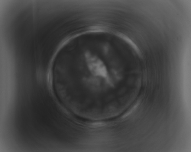 X0000100921467200807081140