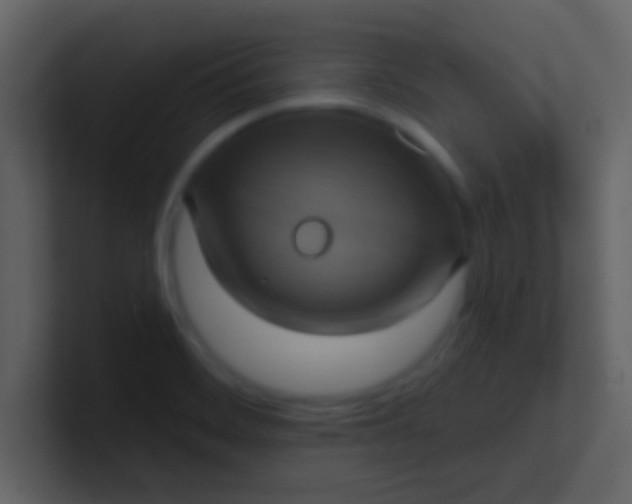 X0000100921468200807081140