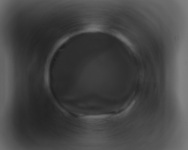 X0000100921469200807081140