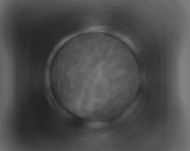 X0000100921470200807081140