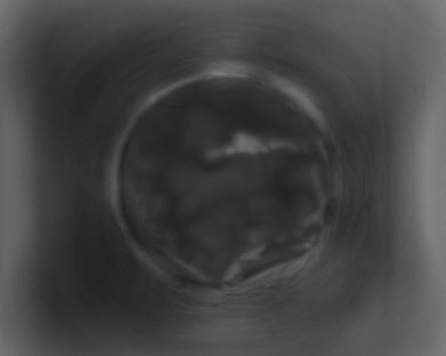 X0000100921471200807081140