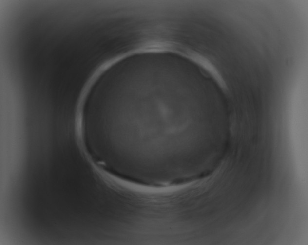 X0000100921472200807081140