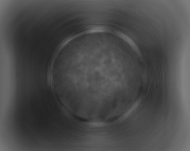 X0000100921473200807081140