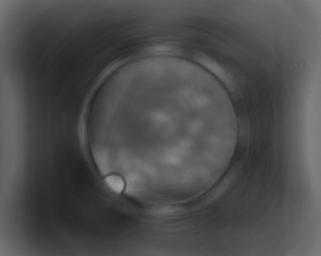 X0000100921474200807081140