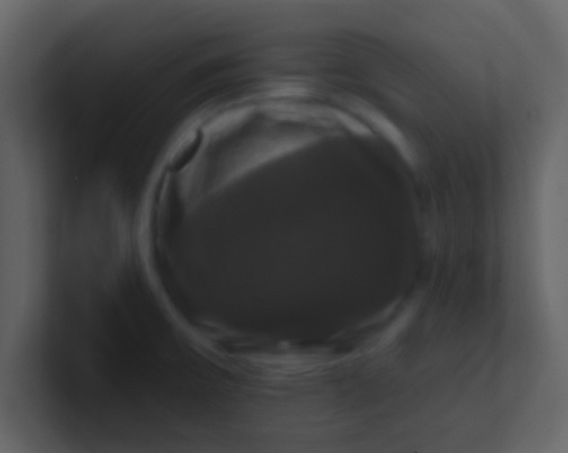 X0000100921475200807081140